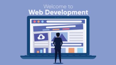 Web development technology